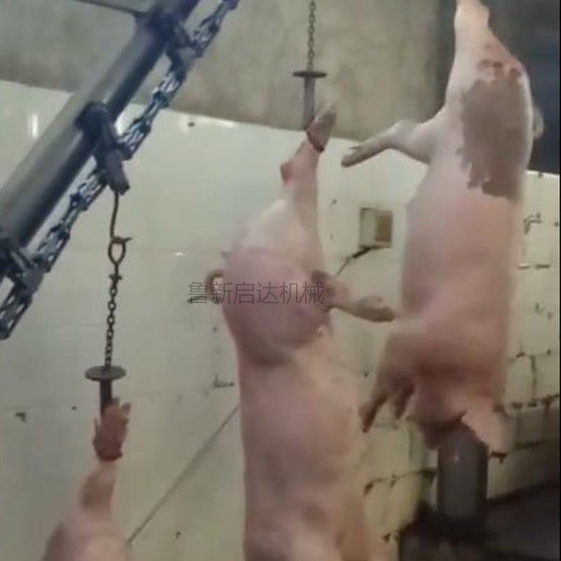 毛豬活掛機簡介 毛豬活掛機簡介